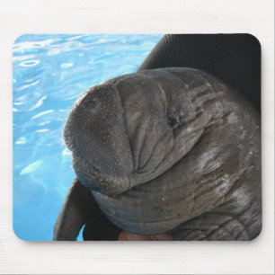 Manati SMP04 Mouse Mat
