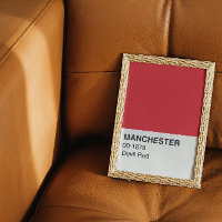 Manchester Devil Red - Full Width