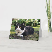 Manchester on nature card