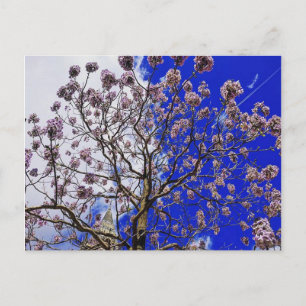 Manchester Spring Postcard