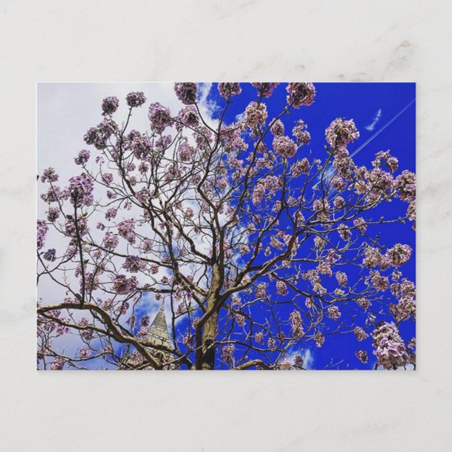 Manchester Spring Postcard (Front)