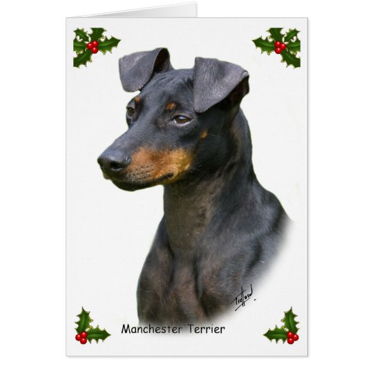 Manchester Terrier 8W13D-07 Card