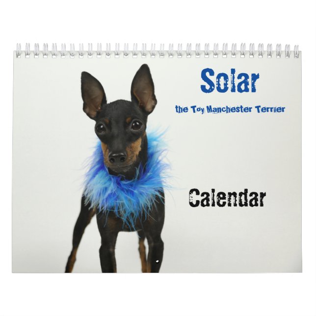 Manchester Terrier Calendar 2021 B (Cover)
