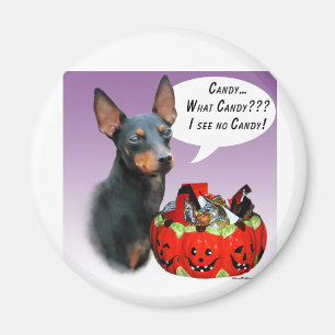 Manchester Terrier Halloween Candy Magnet