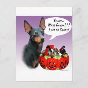 Manchester Terrier Halloween Candy Postcard