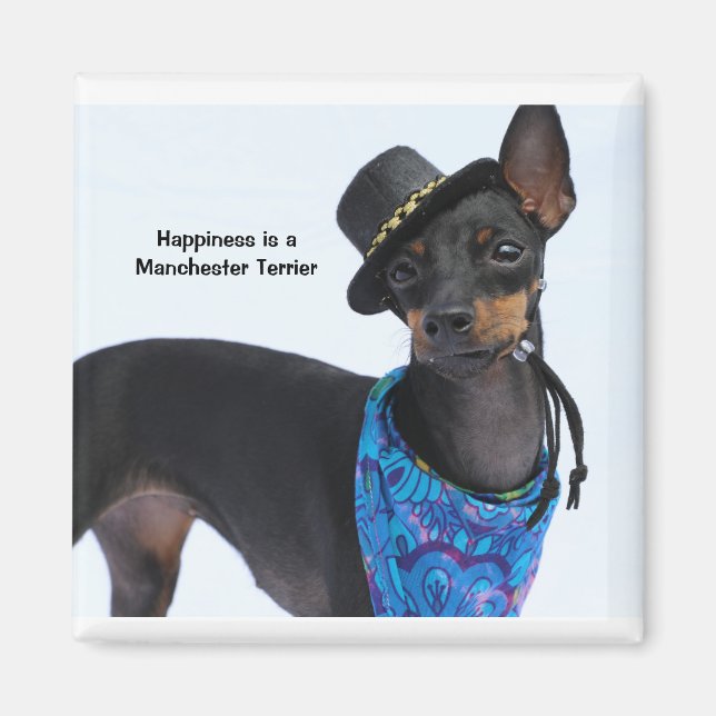 Manchester Terrier Happiness Magnet (Front)