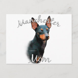Manchester Terrier Mum 2 Postcard