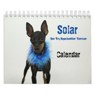 Manchester Terrier Small Calendar