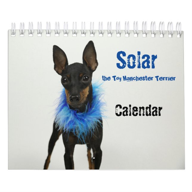 Manchester Terrier Small Calendar 2021 B (Cover)