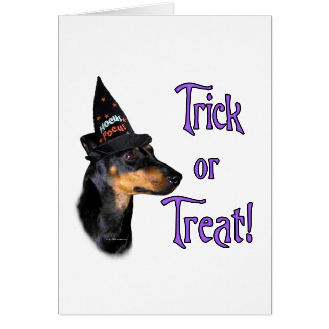 Manchester Terrier Trick (Front)