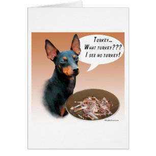 Manchester Terrier Turkey