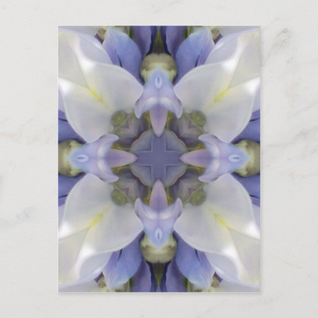 Mandala Series - Fuji 1 Postcard (Front)