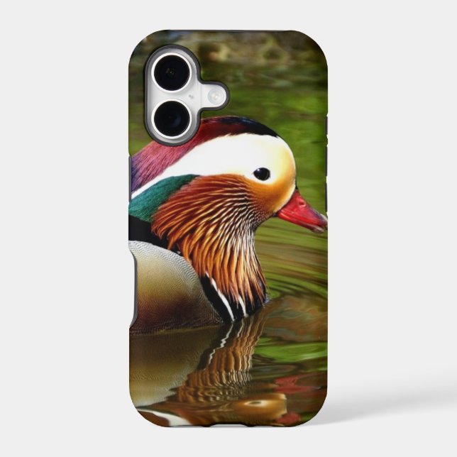 Mandarin Duck (Back)