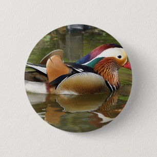 mandarin duck 6 cm round badge