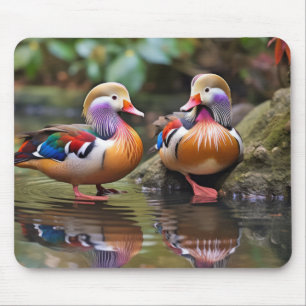 Mandarin duck Animal Bird Wildlife Wilderness Art Mouse Mat