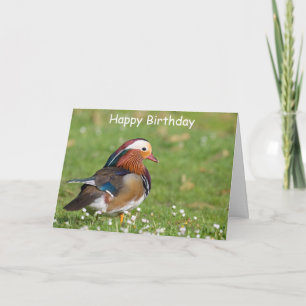 Mandarin Duck Birthday Card