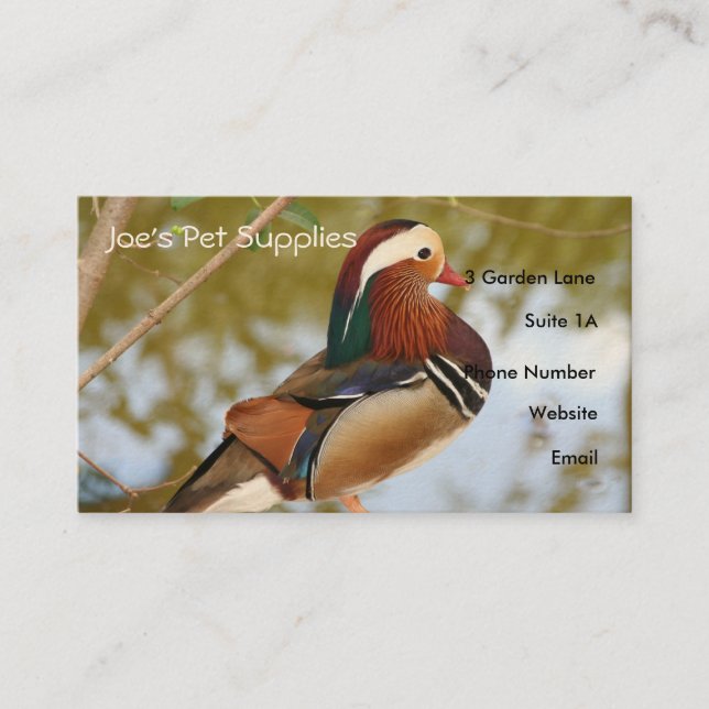 Mandarin Duck Business Cards (Front)
