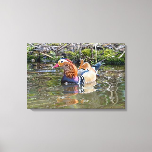 Mandarin duck canvas print (Front)