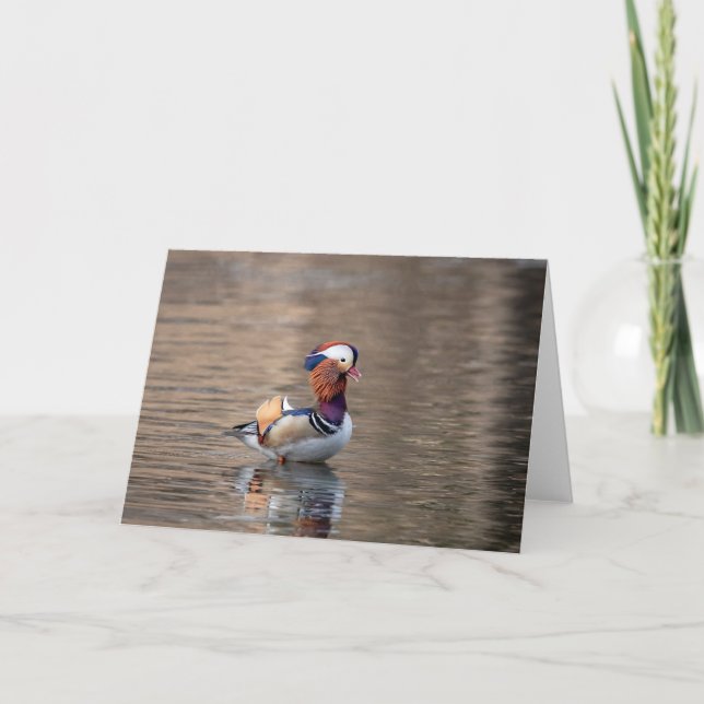 Mandarin Duck Card (Front)