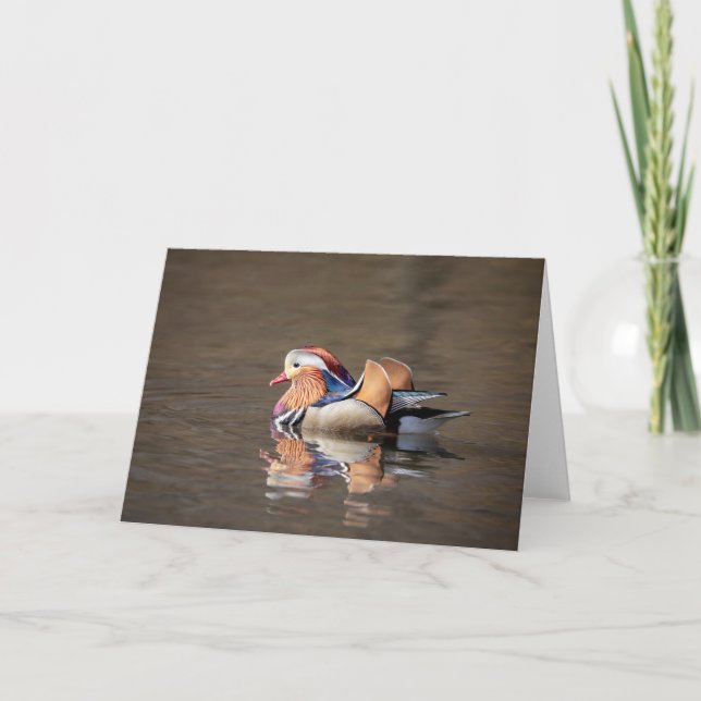 Mandarin Duck Card (Front)