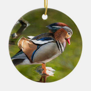 Mandarin Duck Ceramic Tree Decoration