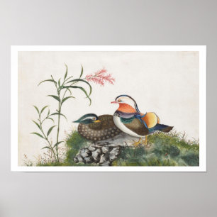 Mandarin Duck Chinese Painting Poster