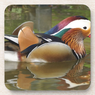 mandarin duck coaster