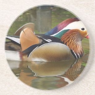 mandarin duck coaster