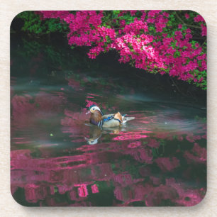 Mandarin duck hard plastic coasters
