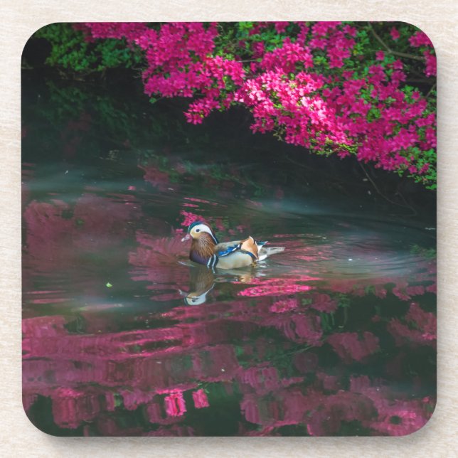 Mandarin duck hard plastic coasters (Front)