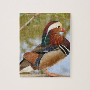 Mandarin Duck Jigsaw Puzzle