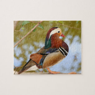 Mandarin duck jigsaw puzzle