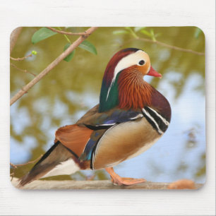 Mandarin Duck Mouse Mat