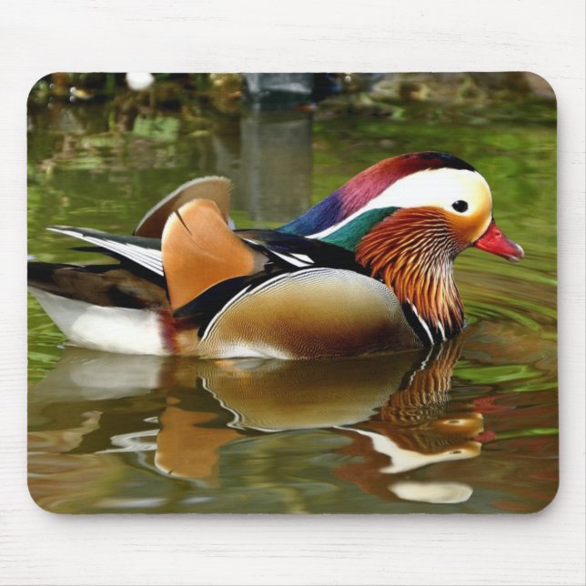 Mandarin Duck Mouse Mat (Front)