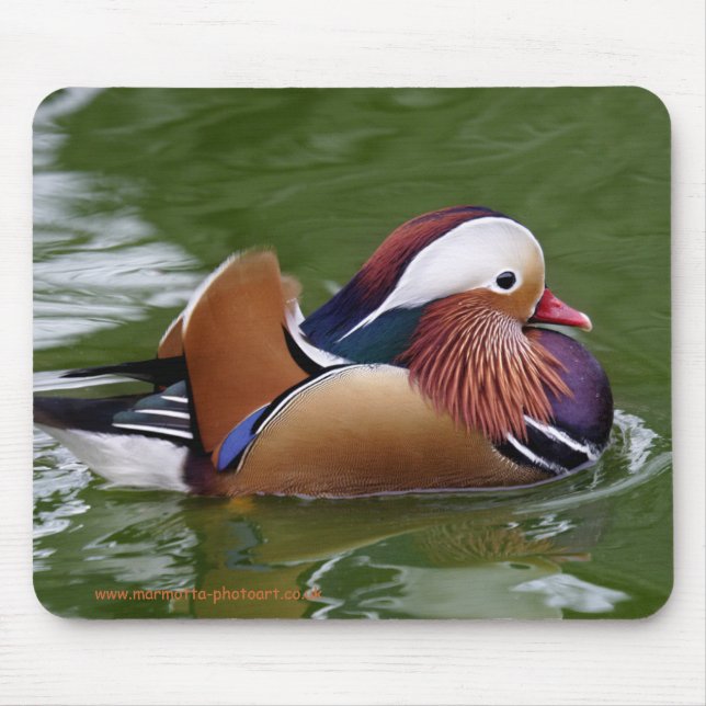 Mandarin Duck Mousemat (Front)