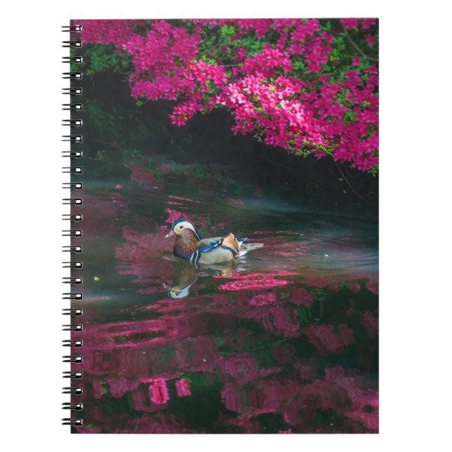 Mandarin duck notebook (Front)