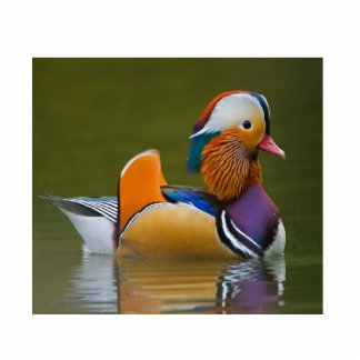 Mandarin Duck Photo Sculpture Key Ring