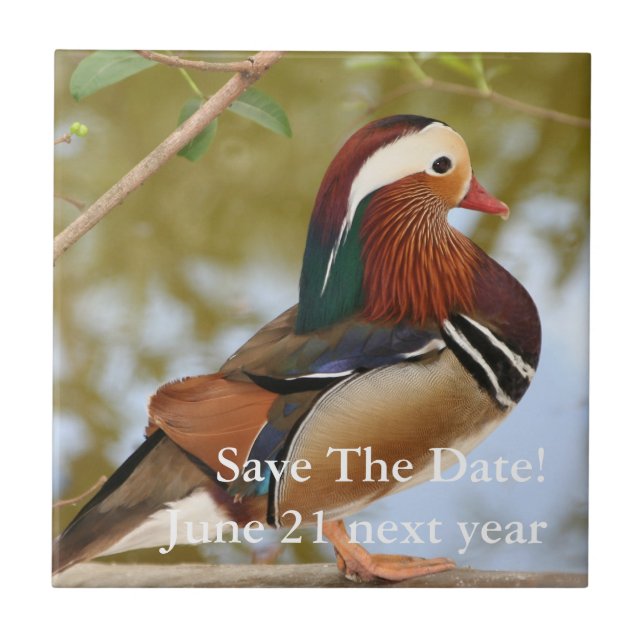 Mandarin Duck Tile (Front)