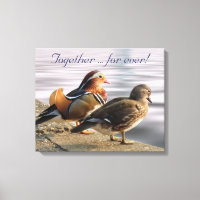 Mandarin ducks