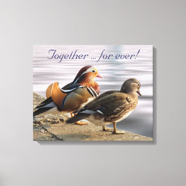 Mandarin ducks canvas print (Front)