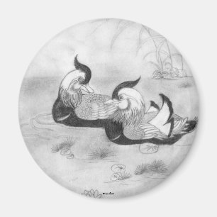 Mandarin Ducks Magnet