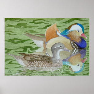 Mandarin Ducks on a lake Poster