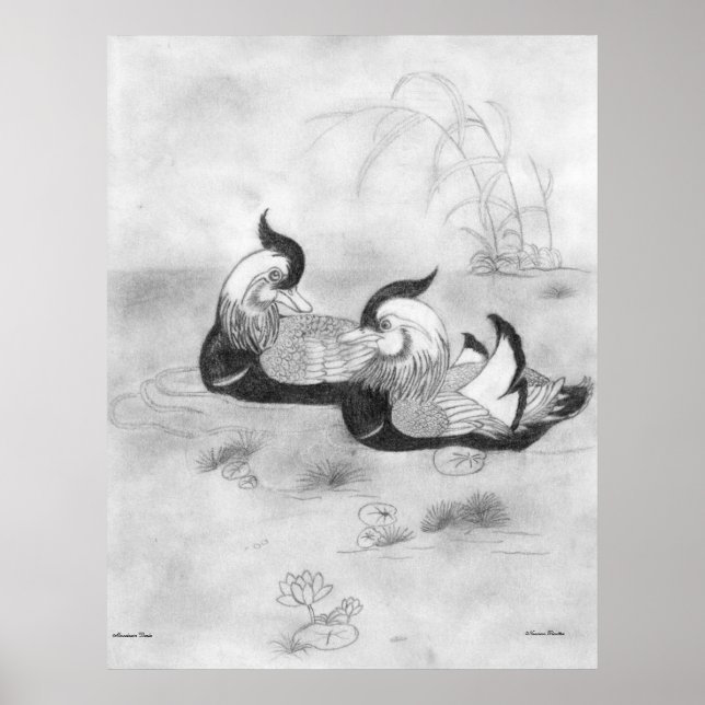 Mandarin Ducks Poster (Front)