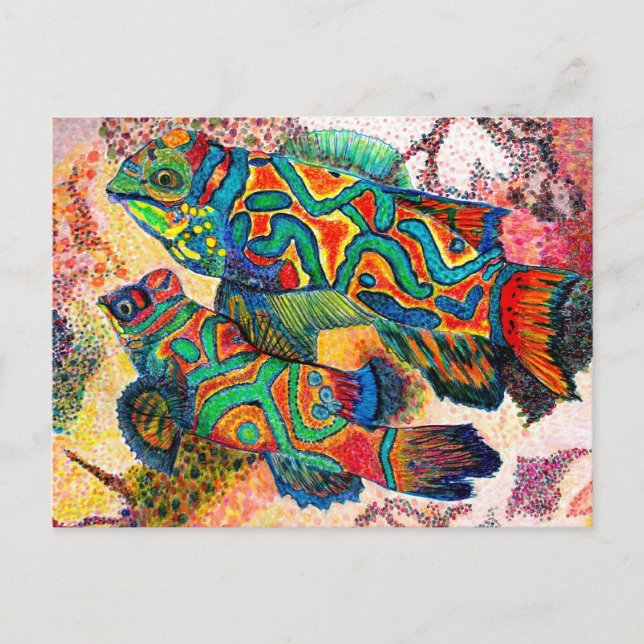 Mandarin Fish Art Postcard (Front)