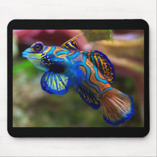 Mandarin Fish Mouse Mat
