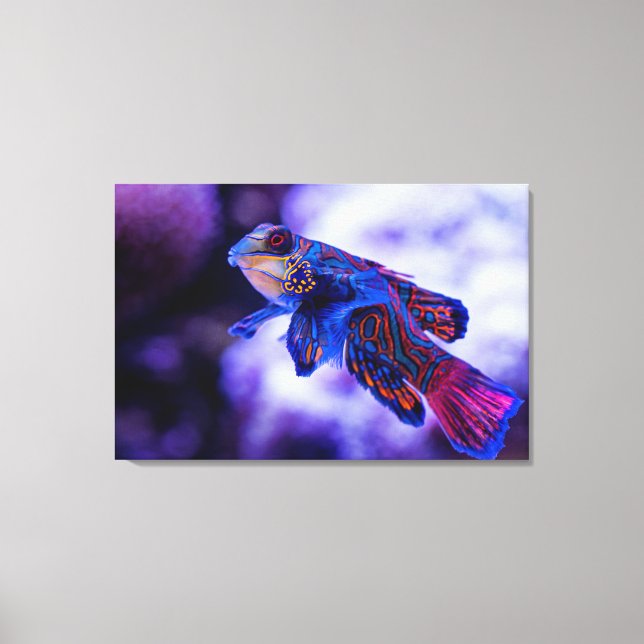 Mandarin Goby Fish Canvas Print (Front)