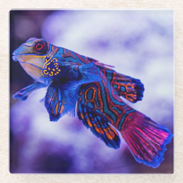 Mandarin Goby Fish Glass Coaster (Front)