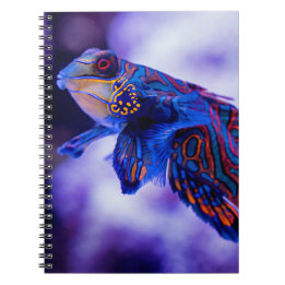 Mandarin Goby Fish Notebook