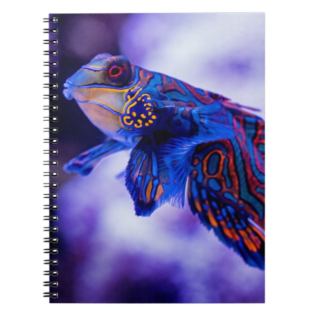 Mandarin Goby Fish Notebook (Front)