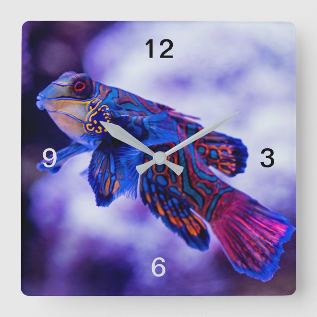 Mandarin Goby Fish Square Wall Clock (Front)